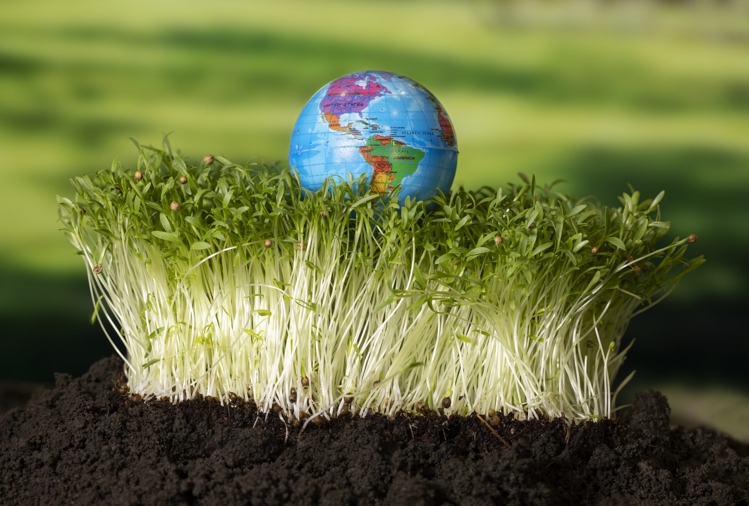 A data analyst using a tablet to review agricultural data on a modern farm in India, showing the blend of technology and agriculture.
