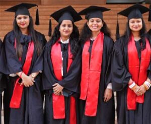 A professional academic researcher analyzing complex datasets and scholarly articles to build a high-level research framework.